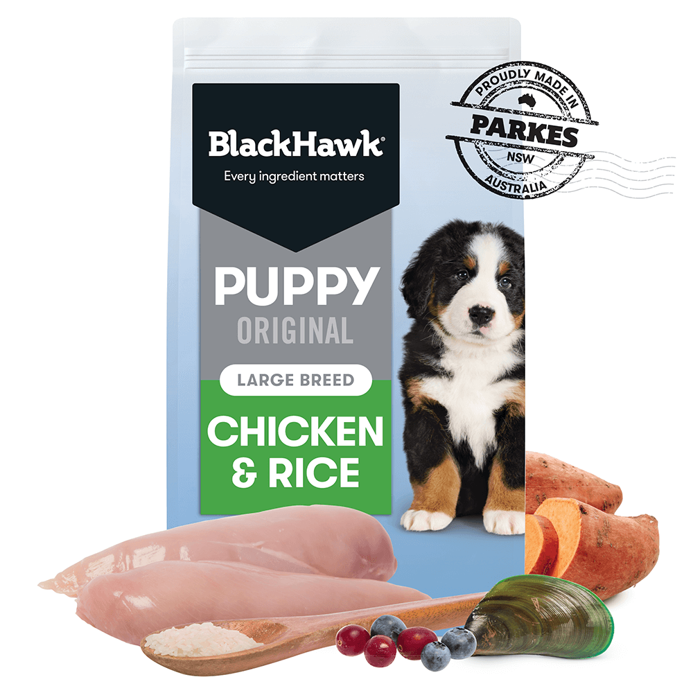 Black fashion hawk puppy chicken and rice 20kg