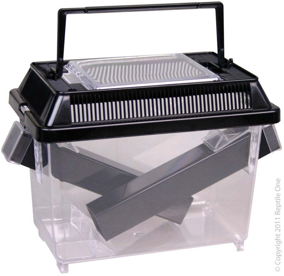 REPTILE ONE CRICKET HOLD BOX SML