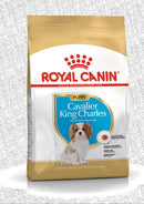 ROYAL CANIN DOG CAVALIER KING CHARLES PUPPY 1.5KG