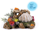 ACTION CLAM W/CORAL & PLANTS MEDIUM 105W X 95H X 170D MM