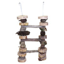 Bird Nerd Natural Ladder