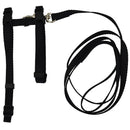 CAT / PUP HARNESS & LEASH BLACK