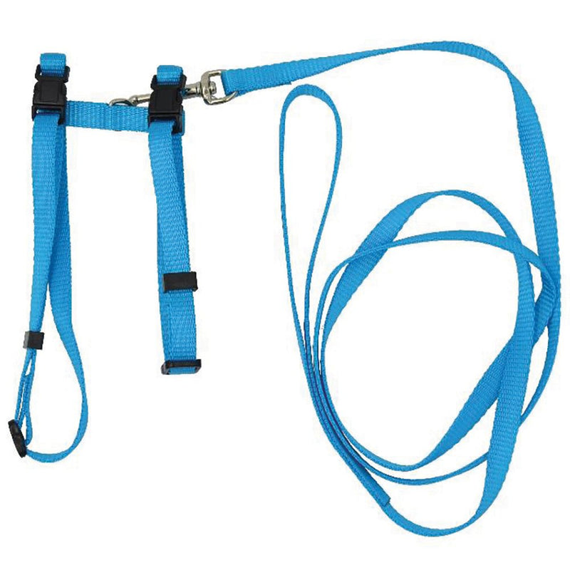 CAT / PUP HARNESS & LEASH TURQUOISE
