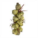 Ninos Java Palm Nuts