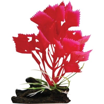 AQUA ONE PLANT RED HYGROPHILA W/LOG SML