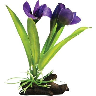 AQUA ONE PLANT VIOLET W/LOG SML