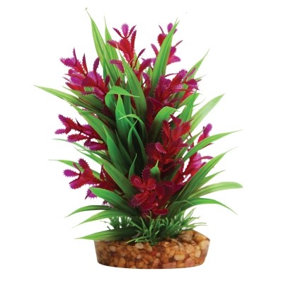 AQUA ONE PLANT RED LUDWIGIA/GRN SWORD W/BASE MED