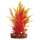 AQUA ONE PLANT OR CABOMBA W/BASE MED