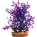 AQUA ONE PLANT BLUE HYGROPHILA W/BASE MED