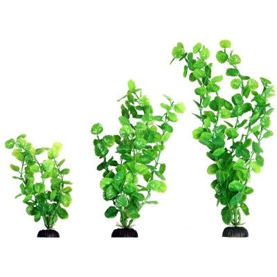 ECOSCAPE MED 8" CARDAMINE GRN