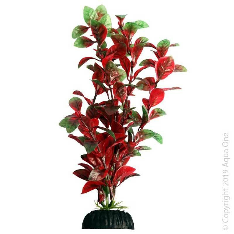 ECOSCAPE LGE 12" HYGRO RED