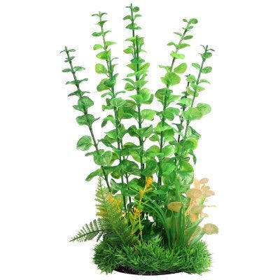 ECOSCAPE PLANTER 12" LGE BABY TEARS GRN