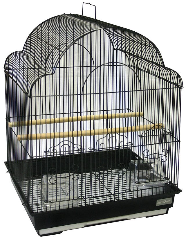 AVIONE CAGE 355P FANCY TOP