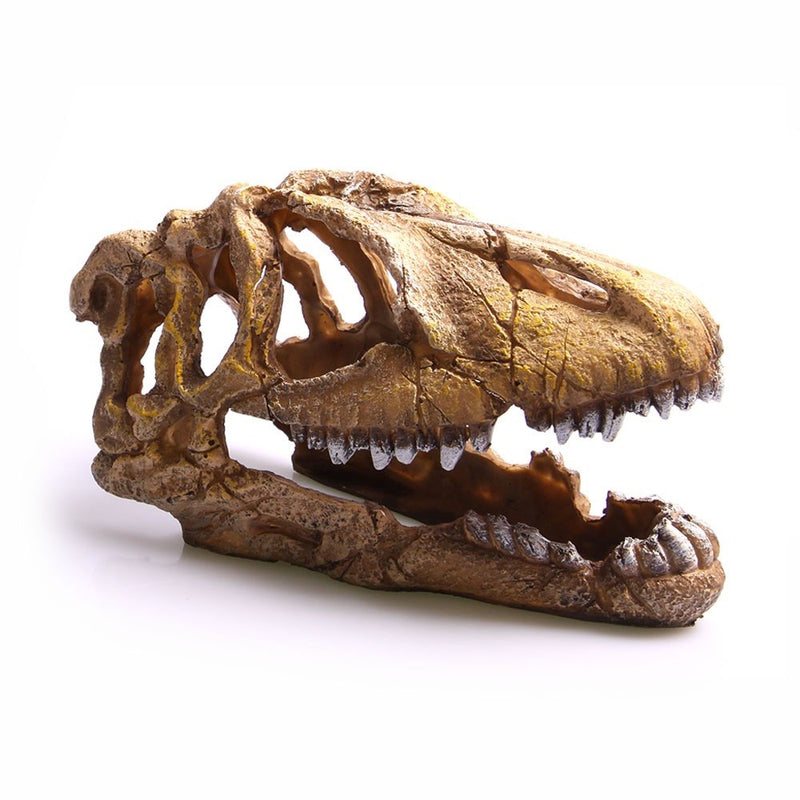 DINOSAUR SKULL 23CM