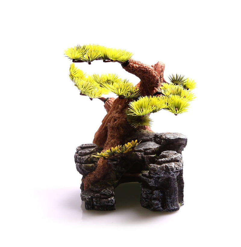 BONSAI SMALL ORNAMENT