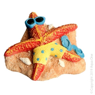 STARFISH ON BEACH 8.5x7x5CM