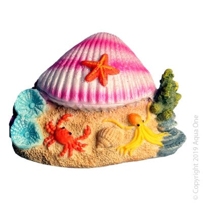 CLAM ON BEACH 9.5x7.5x6CM