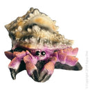 GIANT HERMIT CRAB PURP 12CM