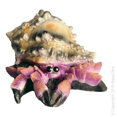 GIANT HERMIT CRAB PURP 12CM