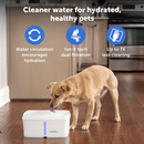 PETSAFE VIVA 4.1L PET FOUNTAIN