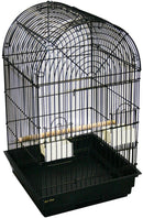 AVIONE CAGE 448A ARCH TOP