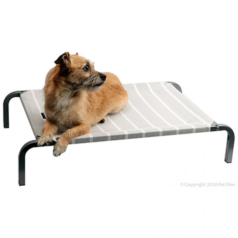 RAISED DOG BED GREY/WHITE MED