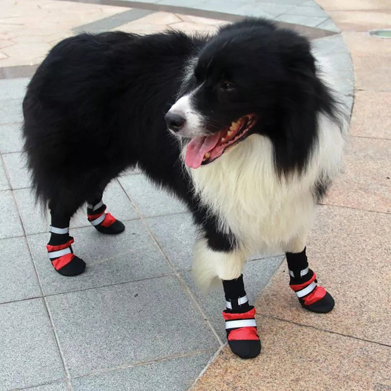 ZEEZ DOG BOOTS RED SMALL