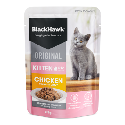 BLACK HAWK KITTEN CHICKEN BOX 12PK