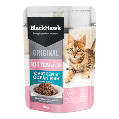 BLACK HAWK KITTEN FISH BOX 12PK