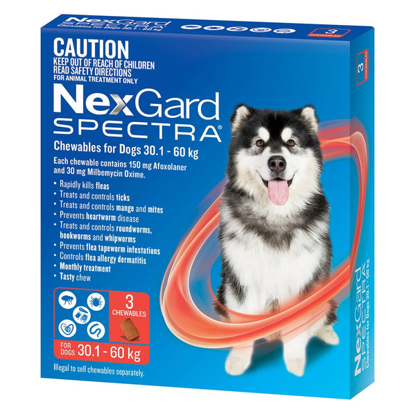 犬用トートバッグとNexGard Spectra(30〜60kg） D-N5839_600x600_crop_center.