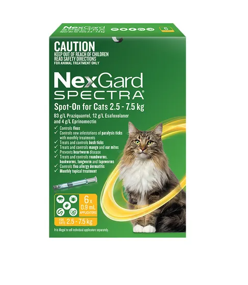 NEXGARD SPECTRA CAT LARGE 6PK