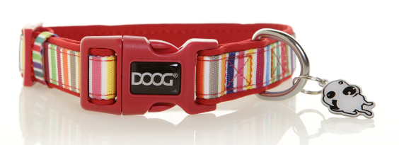 DOOG SCOOBY COLLAR SMALL