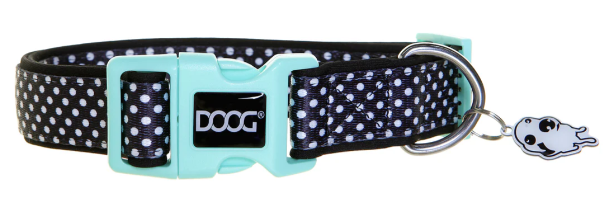 DOOG PONGO COLLAR MEDIUM