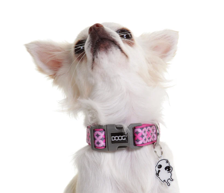 DOOG TOTO COLLAR XSMALL