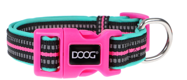 DOOG RIN TIN TIN COLLAR MEDIUM