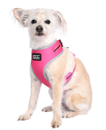 DOOG LADY HARNESS LARGE