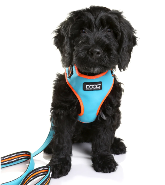 DOOG BEETHOVEN HARNESS SMALL