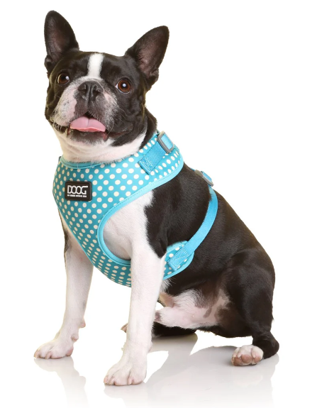 DOOG SNOOPY HARNESS MEDIUM