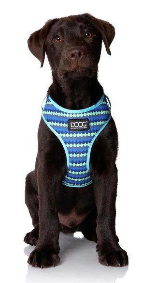 DOOG PLUTO HARNESS LARGE