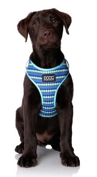 DOOG PLUTO HARNESS SMALL
