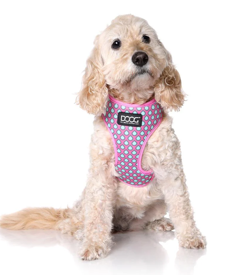 DOOG LUNA HARNESS SMALL