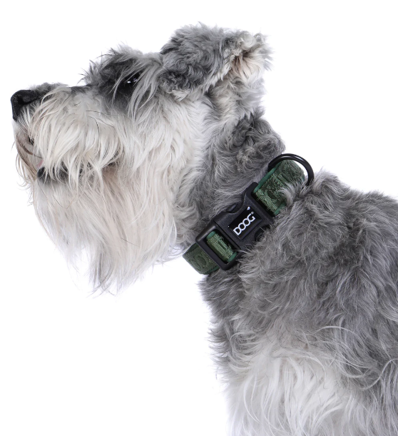 DOOG NEOSPORT NEOPRENE COLLAR GREEN MEDIUM