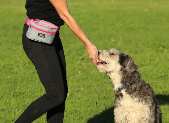 DOOG TREAT & TRAINING POUCH GREY/PINK LARGE