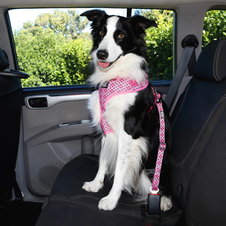 Doog Toto Car Restraint