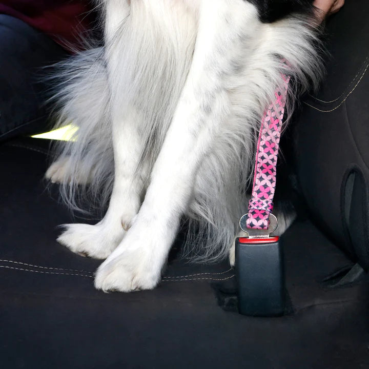 Doog Pongo Car Restraint