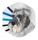 KONG EZ CLEAR COLLAR MED