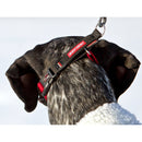 *EZYDOG COLLAR CHECKMATE XL BLACK