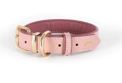 *EZYDOG COLLAR OXFORD XL PINK