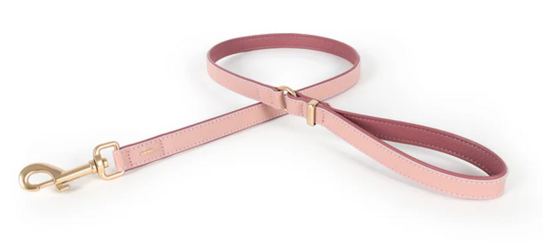 *EZYDOG LEASH OXFORD 42 PINK