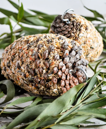 FORAGE LARGE BIRD PINECONE TREAT